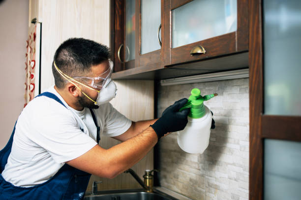 Best Pest Prevention Services  in Robbinsdale, MN