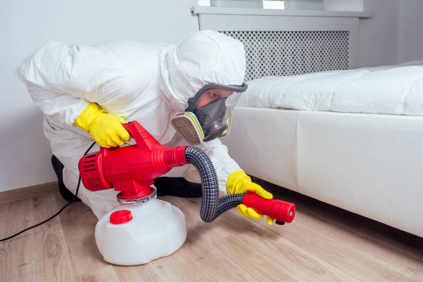 Best Local Pest Control Services  in Robbinsdale, MN