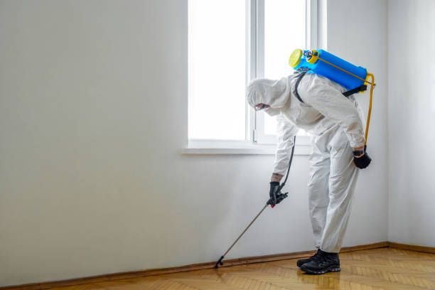 Best Mosquito Control Services  in Robbinsdale, MN