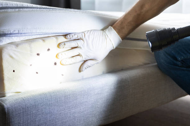 Best Pest Control Near Me  in Robbinsdale, MN